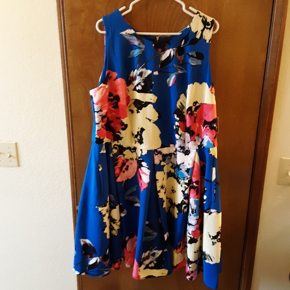 Taylor,  NWT,  blue floral fit & flare dress, 20w